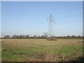 SJ9209 : Pylon in a field by John M