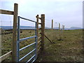 NT0810 : New deer fence on the way to Hartfell Spa by Gordon Brown