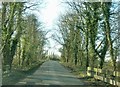 Whin Lane near Tarnbrook