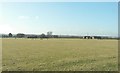 Two Nissen huts near Mersham