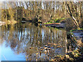 Timperley Flood Storage Basin