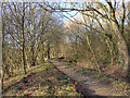 Footpath at Timperley Flood Storage Basin