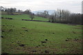 Farmland near Cefn-coch