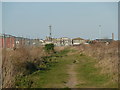 Course of old dock road, now just a path