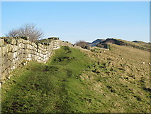 NY7166 : Hadrian's Wall above Cawfield Crags by Mike Quinn