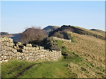 NY7166 : Hadrian's Wall west of Thorny Doors by Mike Quinn