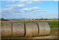 Field with bales at New Barn