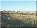 Looking across former allotments, Ashford