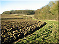 Footpath past the Skouldings, Easton