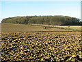 Crop spraying in field south of Session Wood, Easton