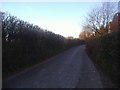 Chapel Lane by Phoenice cottages