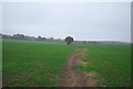 Footpath from Hawe Farm