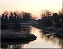 TR0062 : Pond next to Oare Creek at sunrise by pam fray