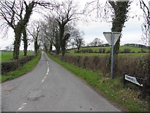 H5260 : Lisnarable Road, Dunbiggan by Kenneth  Allen