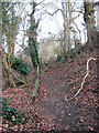 Narrow path to Rendham Barnes