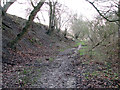 Path to West Mead, Rendham