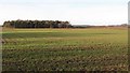 Arable land, Roxburgh