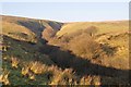 Exmoor : Tangs Bottom