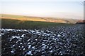 Exmoor : Muddy Field