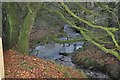 Exmoor : Bale Water