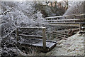 NT2726 : A footbridge at Hawkshaw Cleuch by Walter Baxter