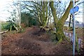 Path on the Delamere Loop