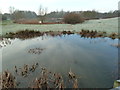 Pond and lake