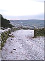 Frozen footpath at Norwood