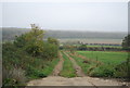 Footpath to East Blean Wood