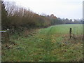 Footpath heading to Sires Hill