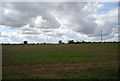 Farmland, Claydon Hall