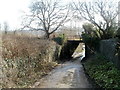 Northern side of a former railway bridge, Trethomas