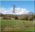 Electricity pylon in a field near Glyn-gwyn Farm, Trethomas