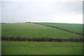 SY5891 : Farmland near Kingston Russell by N Chadwick