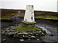 SK1796 : Outer Edge Trig Point by Karl Smt