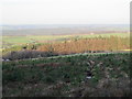 Cleared area in Slaley Forest southwest of Blackhill Plantation