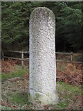 NY9755 : Wood sculpture in Slaley Forest by Mike Quinn