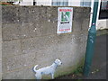 SZ1192 : Found dog, Wolverton Road by Alex McGregor