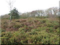 Tumulus, Barrow Hill