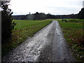 Pathway through Hadley Wood Golf Course, Beech Hill, Cockfosters