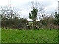 Sturminster Marshall, footbridge with stiles