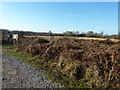 View across Pound Common