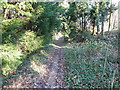 Footpath alongside the A275