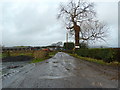 Road to Longfield House Farm