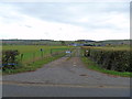 Footpath on the track