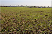 SO8859 : Farmland near Lower Smite Farm by Philip Halling