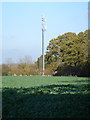 Telecommunications mast