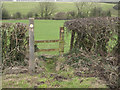 Stile near Walterston village