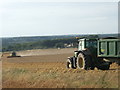 Harvest time