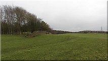 NT1894 : Field, Glencraig by Richard Webb